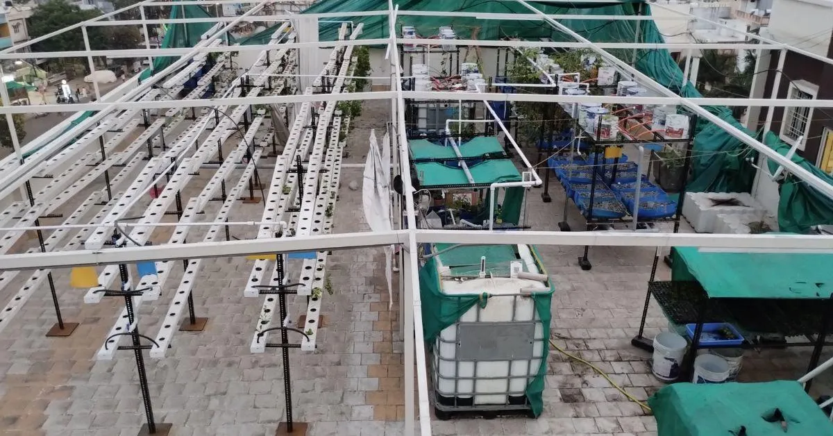 Shashank Dubey Aquaponics Vadodara