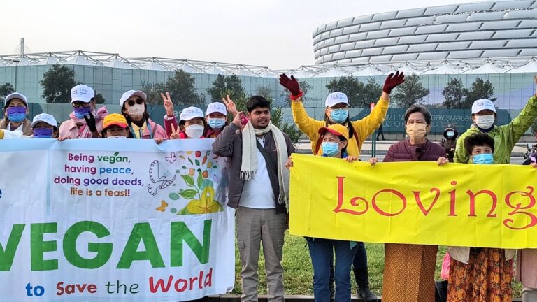 youth climate action India