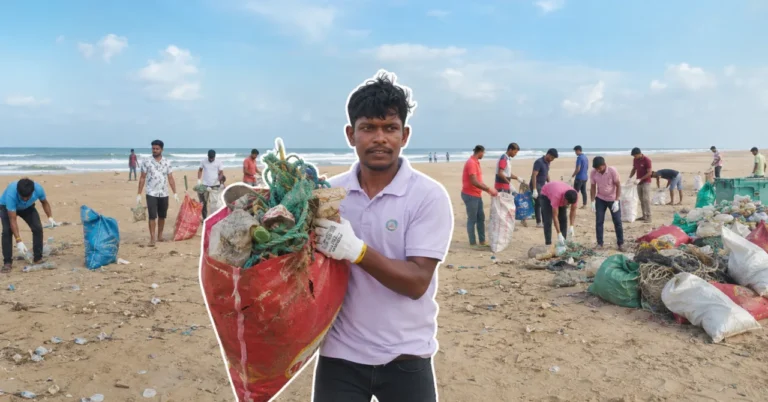 beach cleanup