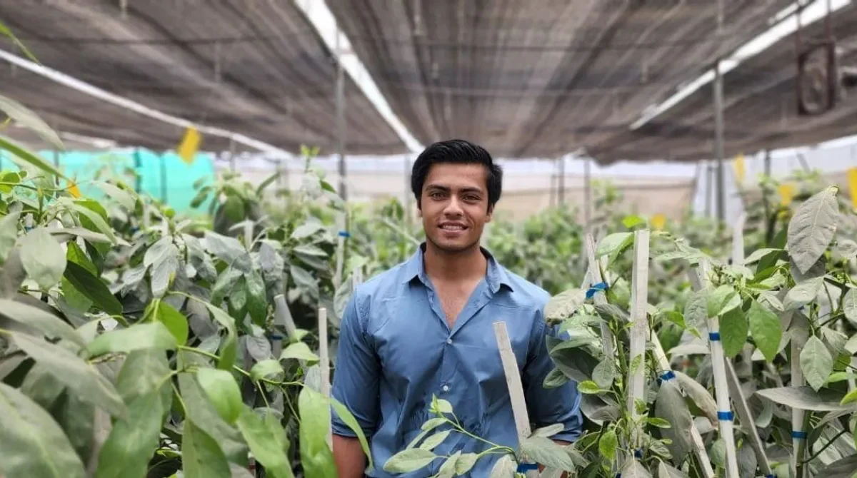 Bhopal Boy Powers Avocado Farming Revolution