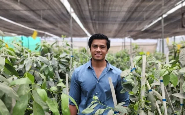 Bhopal Boy Powers Avocado Farming Revolution