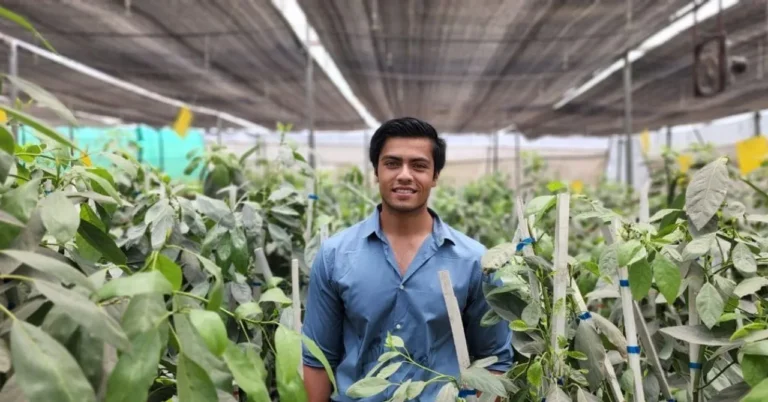 Bhopal Boy Powers Avocado Farming Revolution